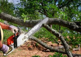 Lawn Grading and Leveling in Buckingham, FL